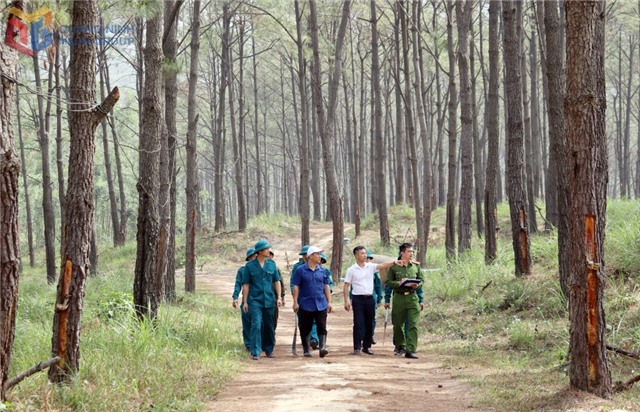 Góp sức thực hiện mục tiêu trồng 1 tỷ cây xanh