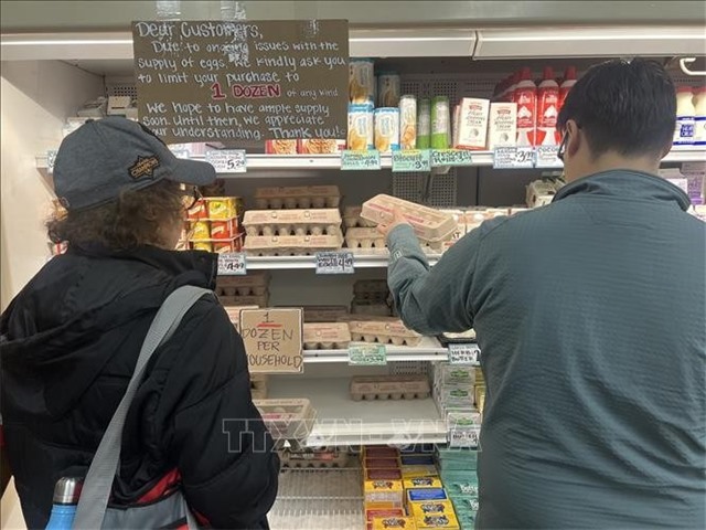 Mỹ thu hồi hàng chục triệu quả trứng do nhiễm khuẩn salmonella