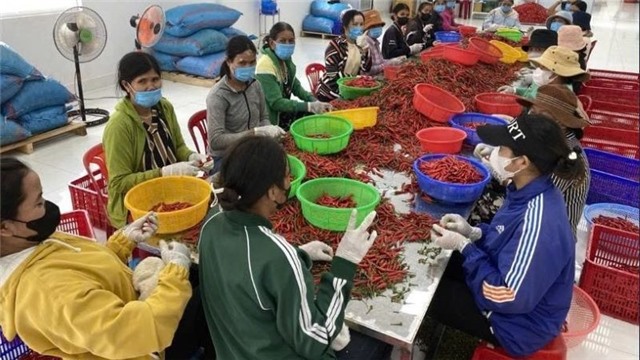 Tổng điều tra nông thôn, nông nghiệp 2025 sẽ bắt đầu từ ngày 1/7/2025