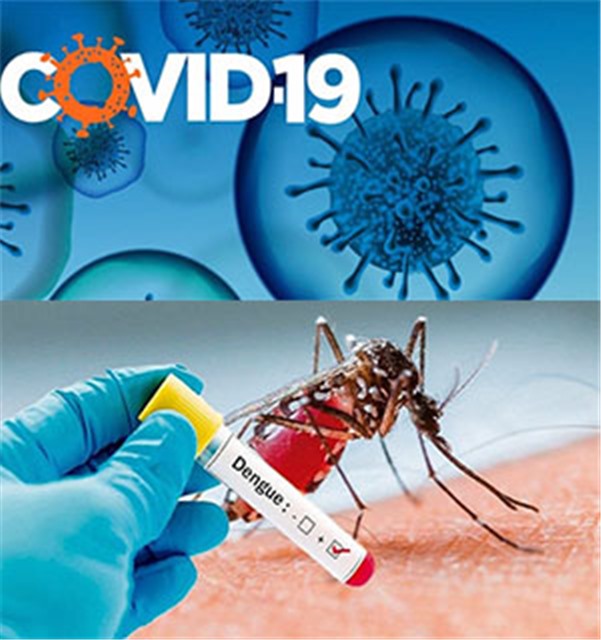 Phường Uông Bí triển khai Kế hoạch cao điểm phòng, chống sốt xuất huyết, tay chân miệng và COVID-19