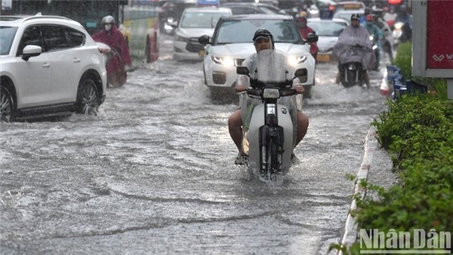 Chủ động ứng phó với bão Wipha, bảo đảm an toàn trên biển và đất liền