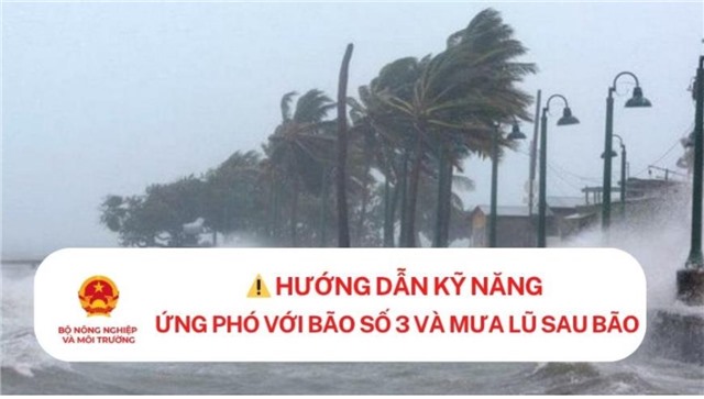 Hướng dẫn kỹ năng ứng phó với bão số 3 và mưa lũ sau bão
