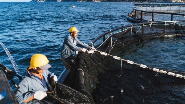 Người nuôi trồng thủy sản thích ứng thiên tai