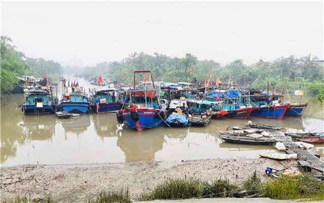 Tàu thuyền của ngư dân Uông Bí vào khu neo đậu sớm để phòng tránh bão số 3