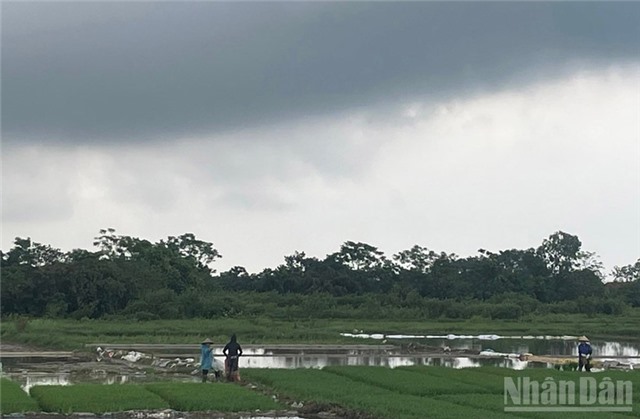 Thời tiết ngày 24/7: Nhiều khu vực trên cả nước có mưa rào và dông