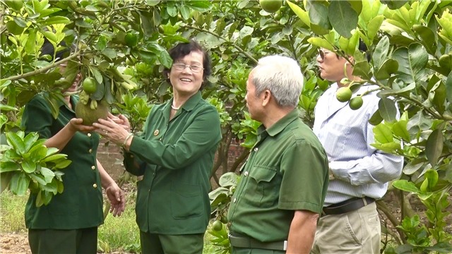 Gương sáng Thanh niên xung phong Nguyễn Thị Hoa