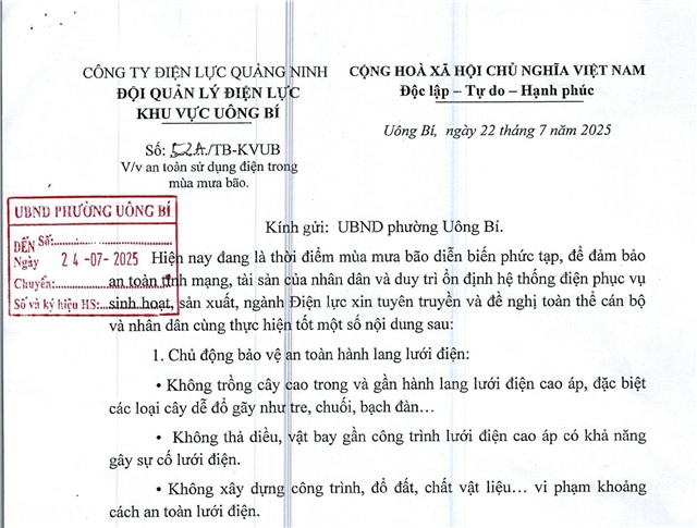 An toàn sử dụng điện trong mùa mưa bão