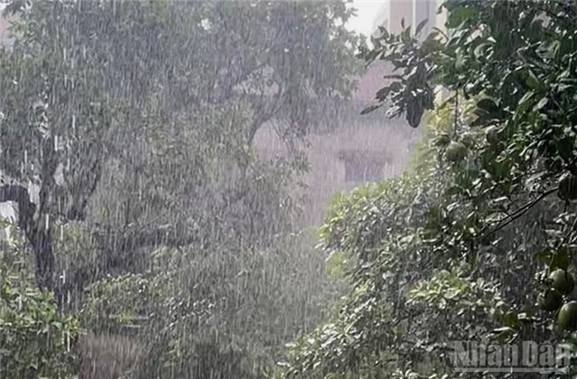 Thời tiết ngày 1/8: Bắc Bộ có mưa rào và dông, cục bộ có nơi mưa to