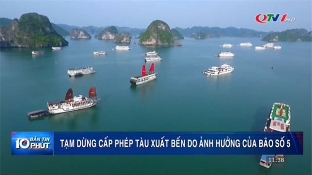 Tạm ngừng cấp phép tàu do ảnh hưởng của bão số 5