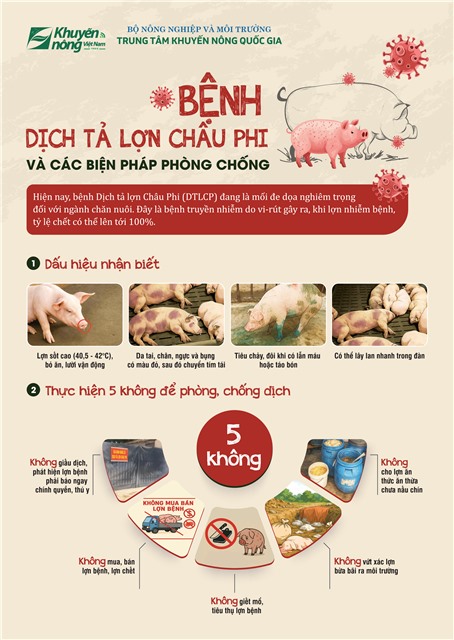 Bệnh Dịch tả lợn Châu Phi và các biện pháp phòng chống