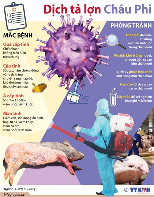 TĂNG CƯỜNG CÁC BIỆN PHÁP PHÒNG, CHỐNG DỊCH TẢ LỢN CHÂU PHI