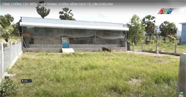 TĂNG CƯỜNG CÁC BIỆN PHÁP PHÒNG, CHỐNG BỆNH DỊCH TẢ LỢN CHÂU PHI