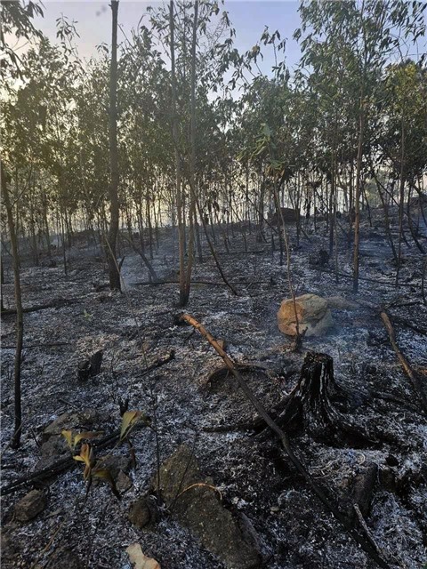 UBND Phường Uông Bí chỉ đạo khẩn về công tác phòng cháy, chữa cháy rừng
