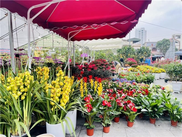 Phường Uông Bí sôi nổi chuỗi hoạt động mừng Đảng, mừng Xuân Bính Ngọ 2026