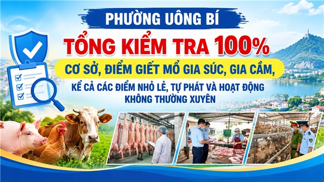 Phường Uông Bí tổng kiểm tra 100% cơ sở, điểm giết mổ gia súc, gia cầm, kể cả các điểm nhỏ lẻ, tự phát và hoạt động không thường xuyên 