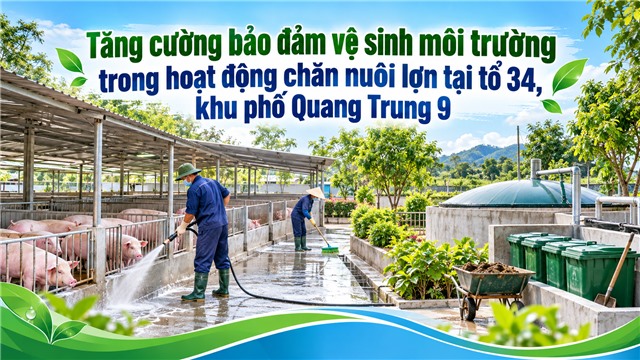 Tăng cường bảo đảm vệ sinh môi trường trong hoạt động chăn nuôi lợn tại tổ 34, khu phố Quang Trung 9