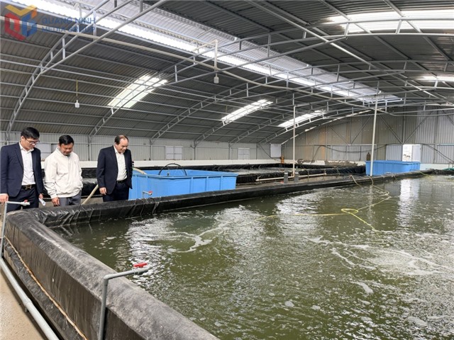 Thúc đẩy khu vực kinh tế tư nhân bứt phá