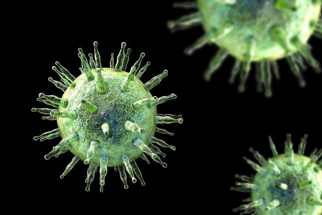Các nhà khoa học vừa tìm ra cách ngăn chặn loại virus lây nhiễm tới 95% dân số thế giới