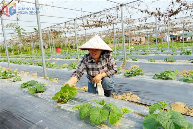 Triển khai Nghị quyết 68 bài bản, sát thực tiễn