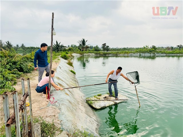 Rà soát đánh giá hiện trạng sử dụng đất trong phạm vi thực hiện  Dự án Tuyến đường sắt tốc độ cao Hà Nội - Quảng Ninh
