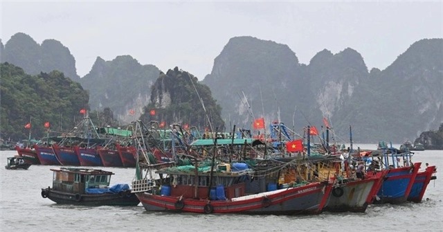 Quảng Ninh: 1 người mất tích do mưa bão, cấm biển từ 12 trưa nay