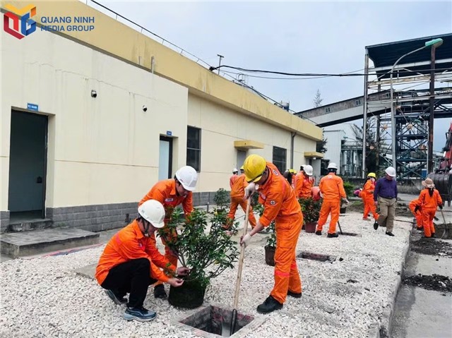 Bảo vệ môi trường ở các đơn vị sản xuất nhiệt điện
