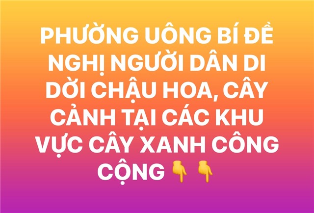 PHƯỜNG UÔNG BÍ ĐỀ NGHỊ NGƯỜI DÂN DI DỜI CHẬU HOA, CÂY CẢNH TẠI CÁC KHU VỰC CÂY XANH CÔNG CỘNG