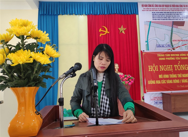 Quảng Trị Vượt khó từ mô hình trồng hoa cúc gối vụ  Cổng Thông Tin Hội  Liên hiệp Phụ nữ Việt Nam